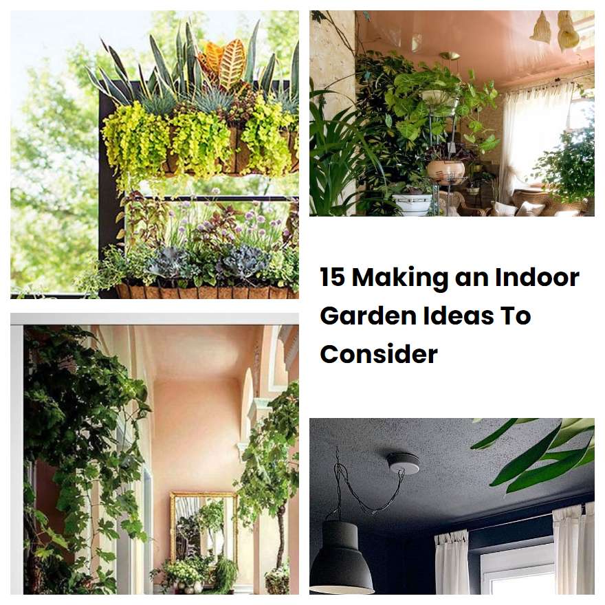 15 Making an Indoor Garden Ideas To Consider | SharonSable