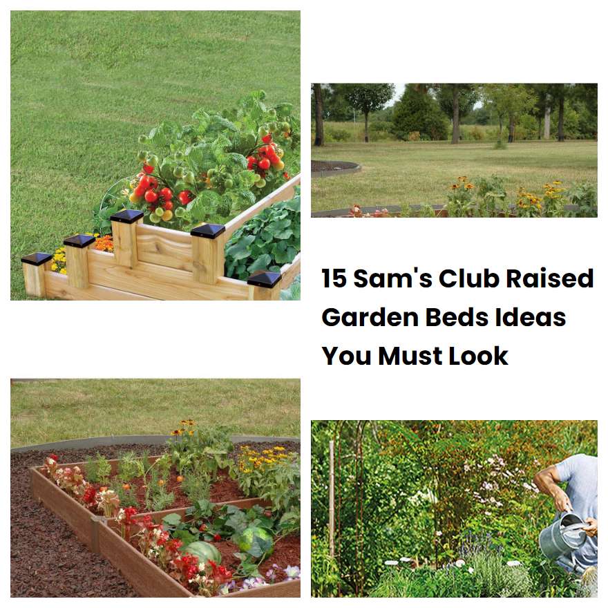 15 Sams Club Raised Garden Beds Ideas You Must Look Sharonsable