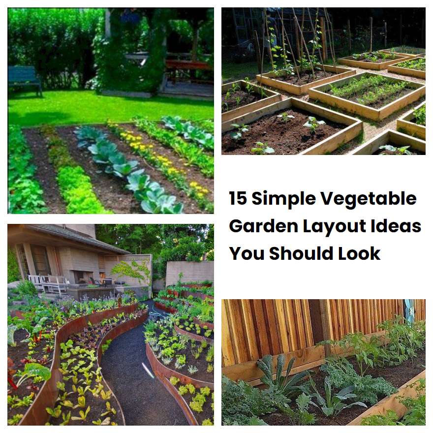 15 Simple Vegetable Garden Layout Ideas You Should Look | SharonSable