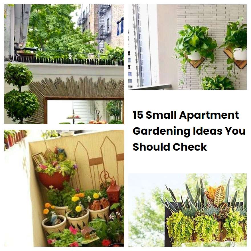 Small Apartment Garden: A Guide to Growing Plants in Limited Space