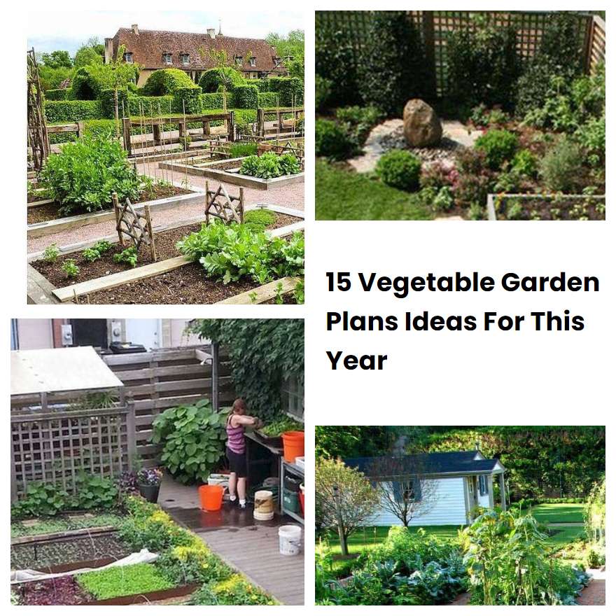 15 Vegetable Garden Plans Ideas For This Year | SharonSable