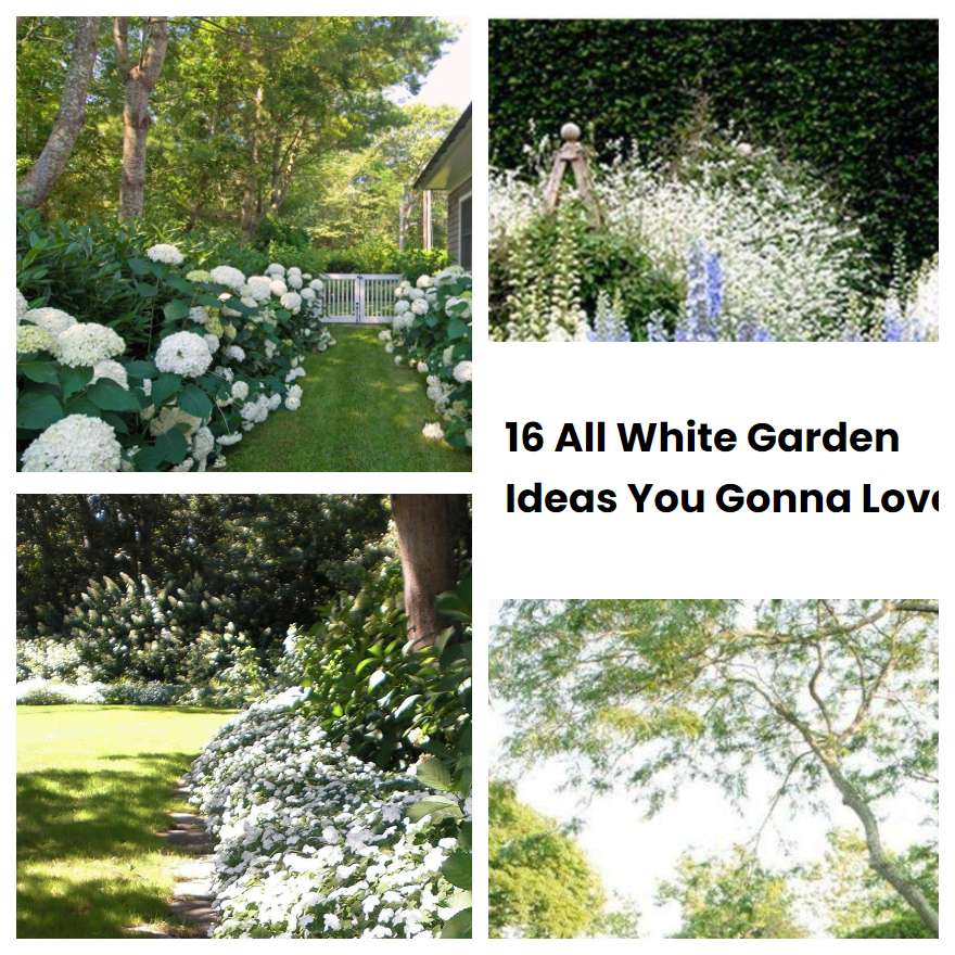 16 All White Garden Ideas You Gonna Love | SharonSable