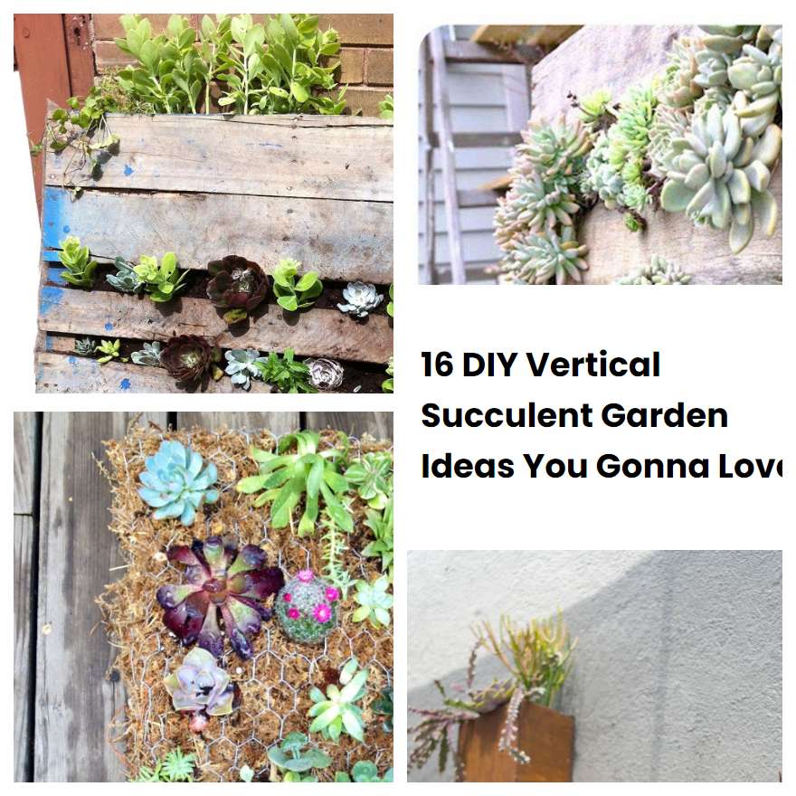 16 Diy Vertical Succulent Garden Ideas You Gonna Love Sharonsable