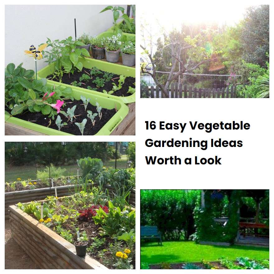 16 Easy Vegetable Gardening Ideas Worth a Look | SharonSable