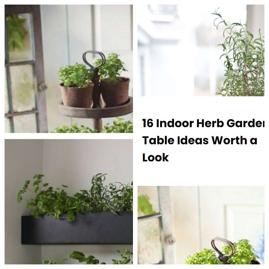 16 Indoor Herb Garden Table Ideas Worth a Look SharonSable