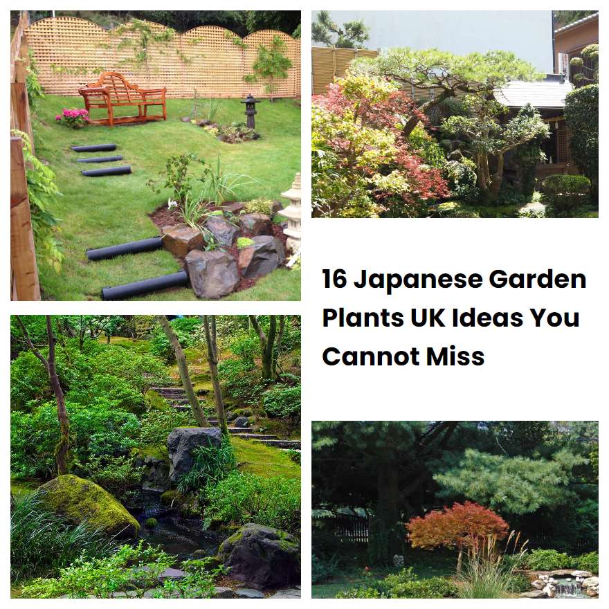 16 Japanese Garden Plants UK Ideas You Cannot Miss | SharonSable