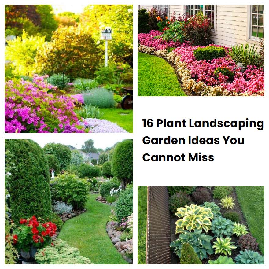 16 Plant Landscaping Garden Ideas You Cannot Miss | SharonSable