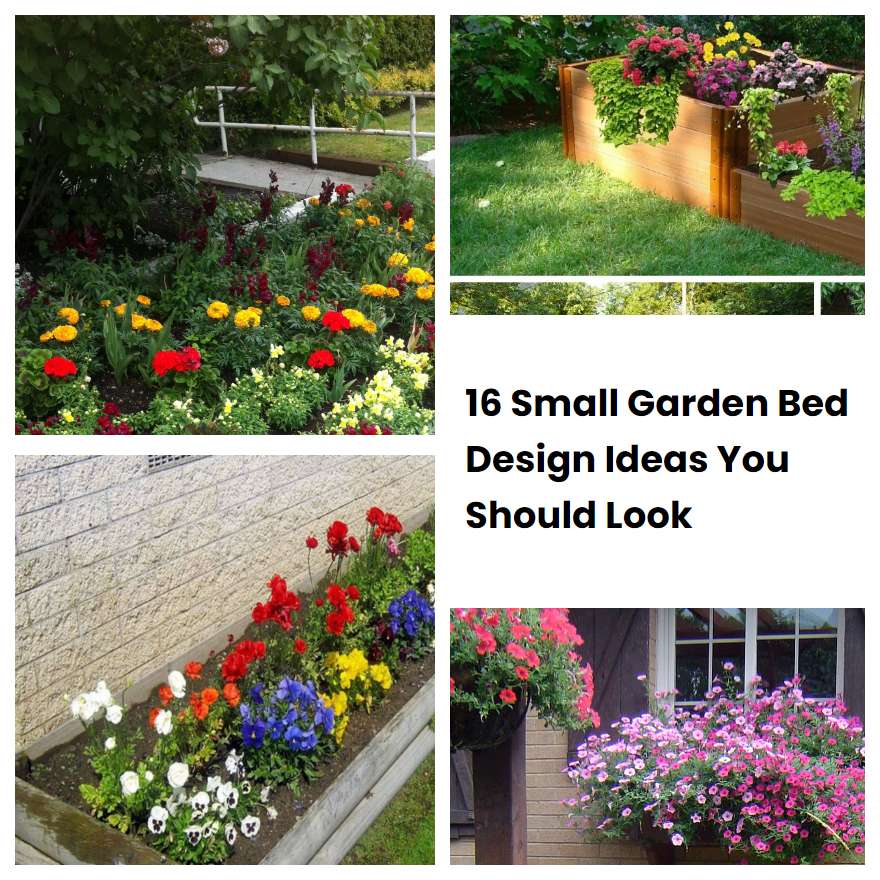 16 Small Garden Bed Design Ideas You Should Look | SharonSable