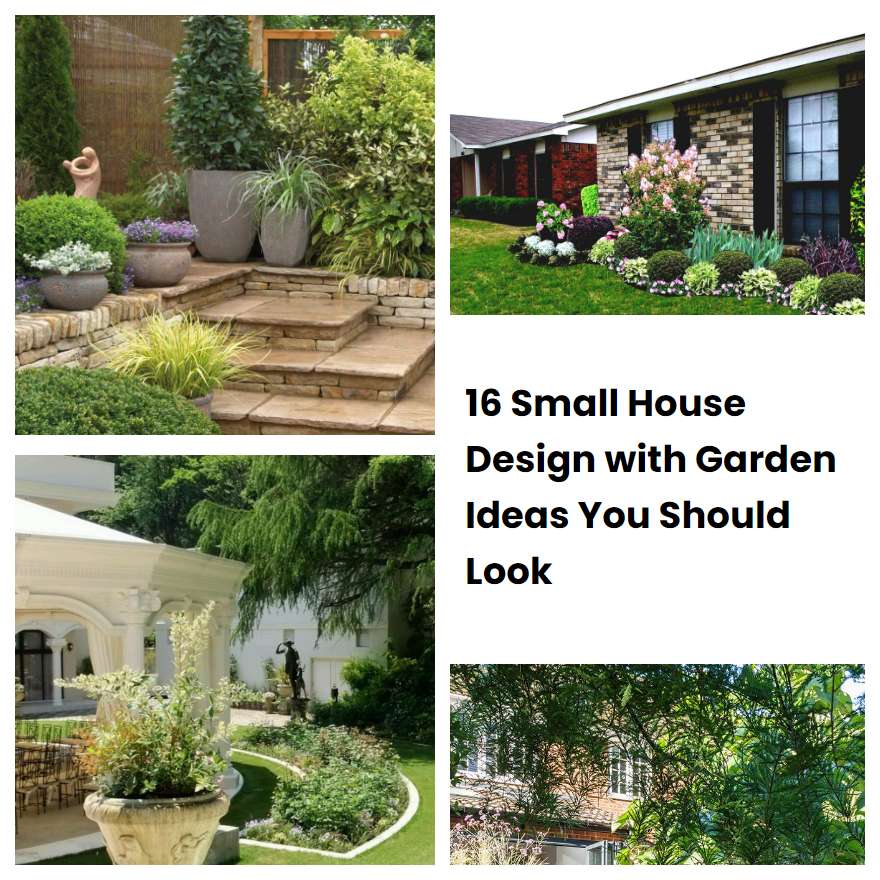 16 Small House Design with Garden Ideas You Should Look | SharonSable