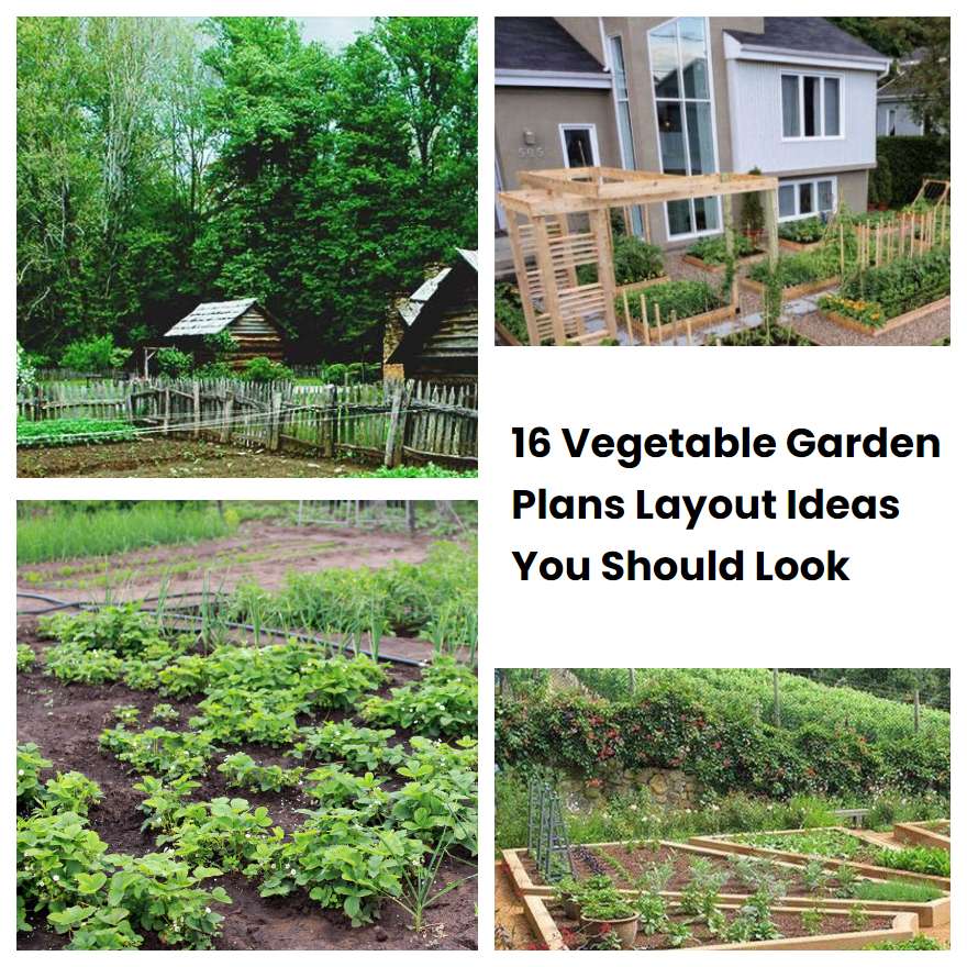 16 Vegetable Garden Plans Layout Ideas You Should Look | SharonSable