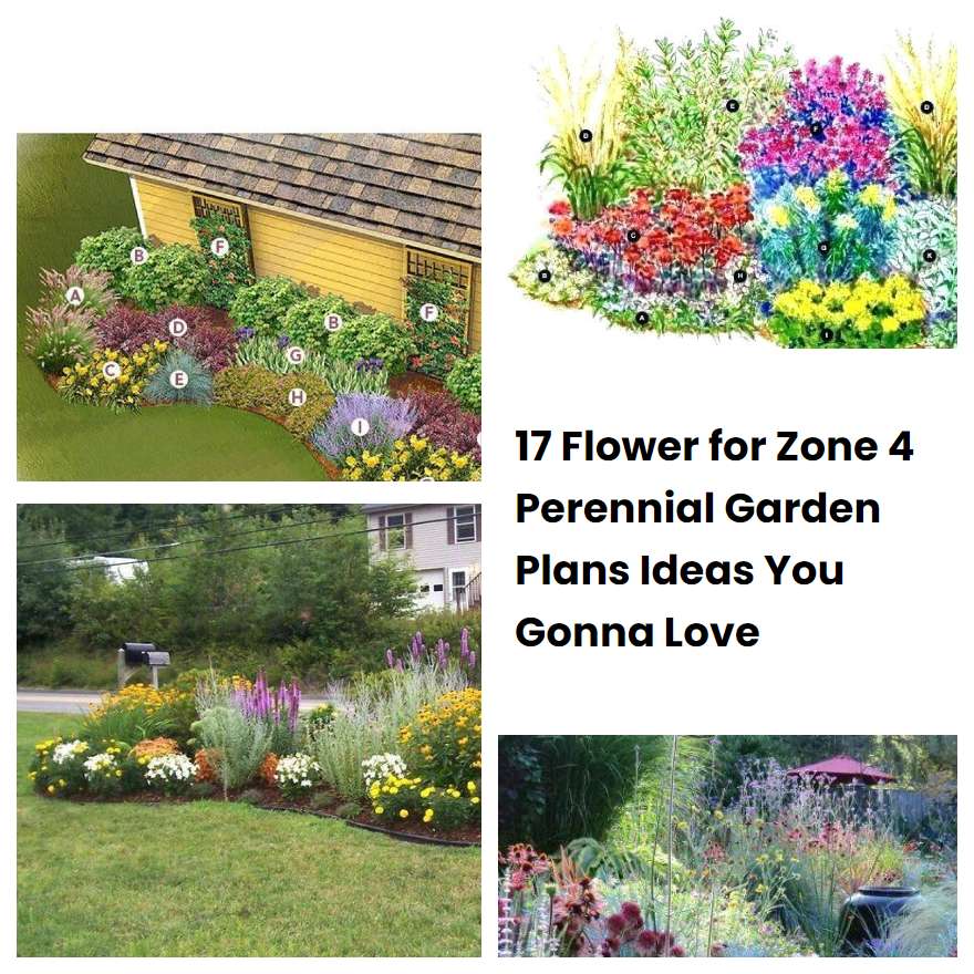 17 Flower for Zone 4 Perennial Garden Plans Ideas You Gonna Love