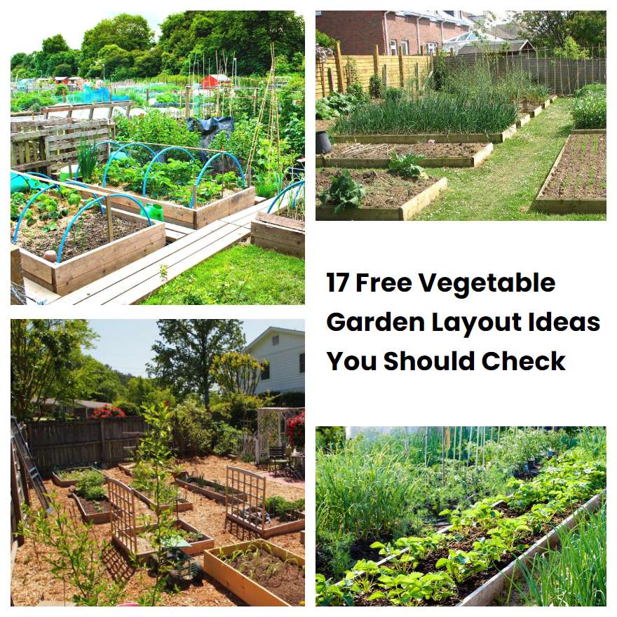 17 Free Vegetable Garden Layout Ideas You Should Check | SharonSable