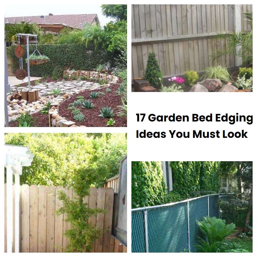 17 Garden Bed Edging Ideas You Must Look | SharonSable