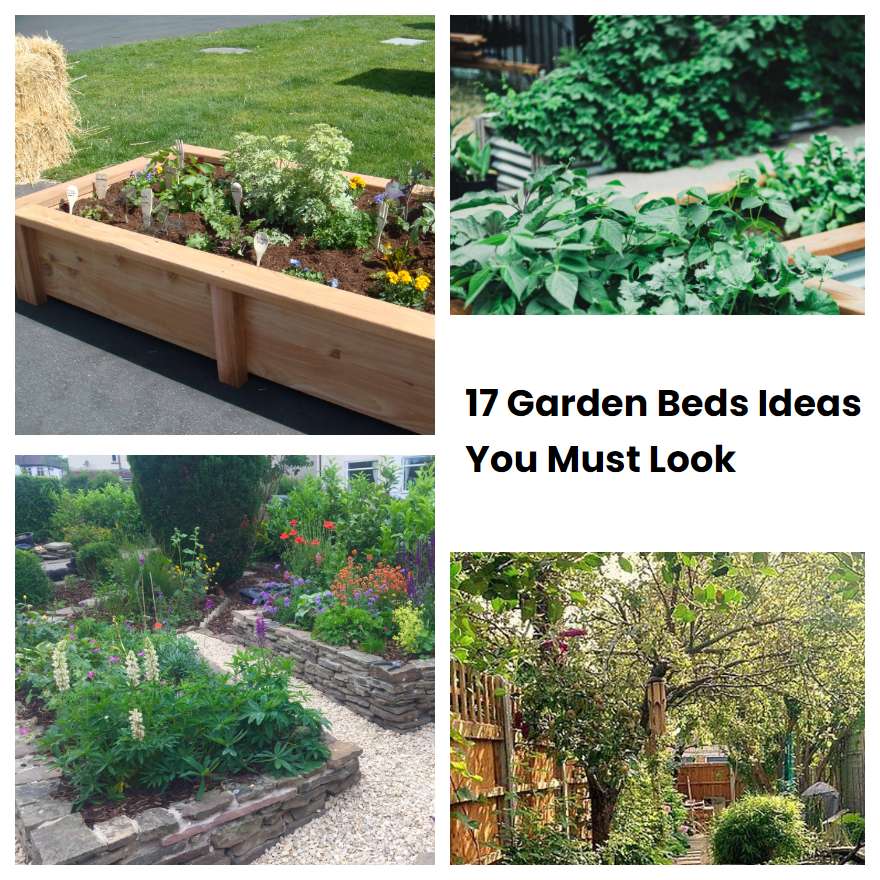 17 Garden Beds Ideas You Must Look Sharonsable