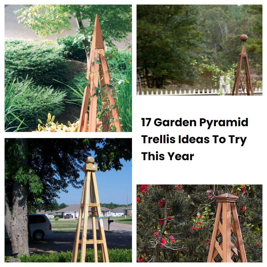 17 Garden Pyramid Trellis Ideas To Try This Year Sharonsable