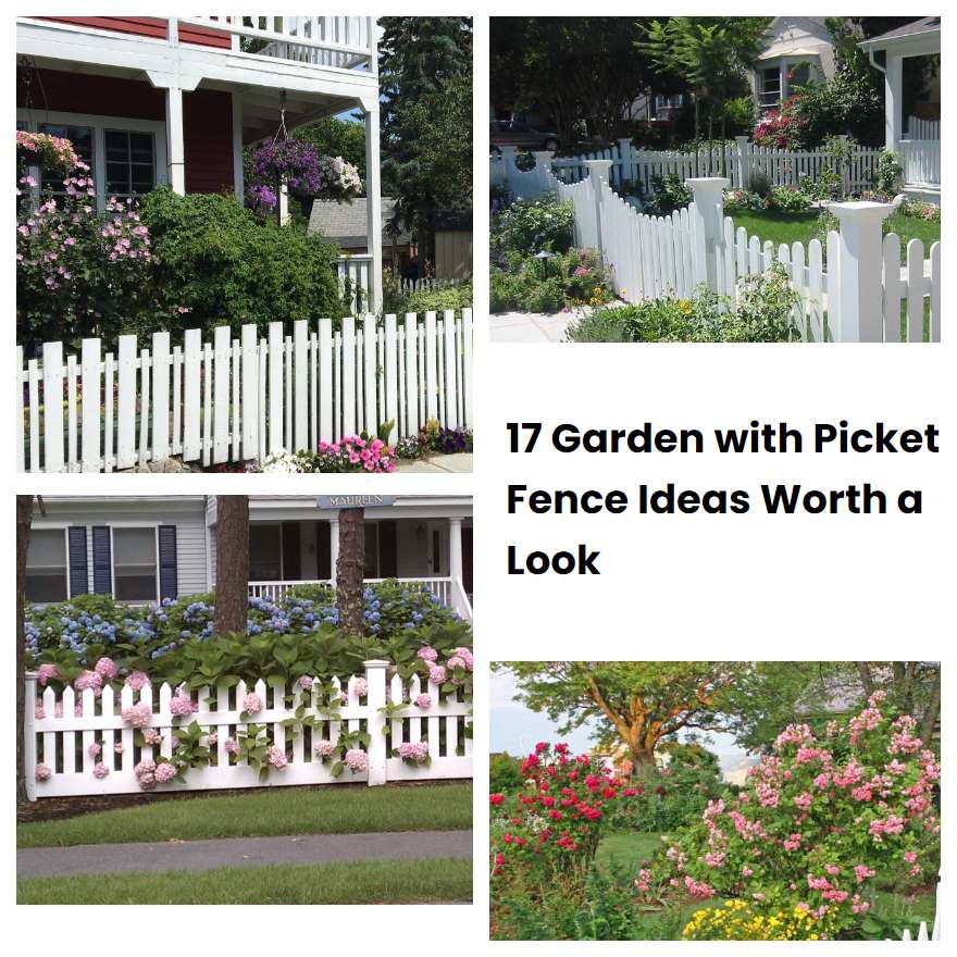 17 Garden With Picket Fence Ideas Worth A Look Sharonsable