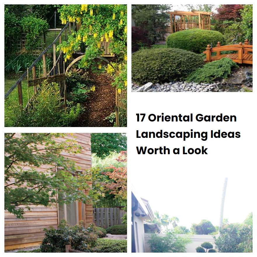 17 Oriental Garden Landscaping Ideas Worth a Look | SharonSable