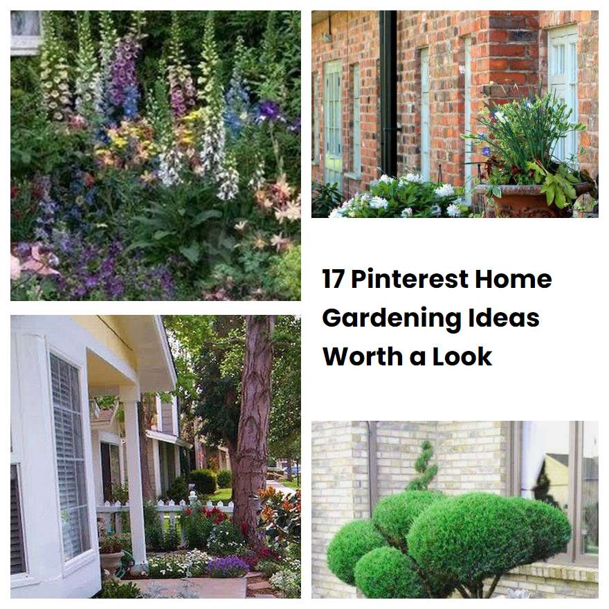 17 Pinterest Home Gardening Ideas Worth a Look | SharonSable