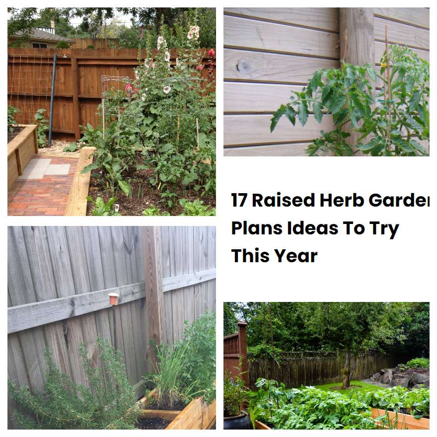 17 Raised Herb Garden Plans Ideas To Try This Year 