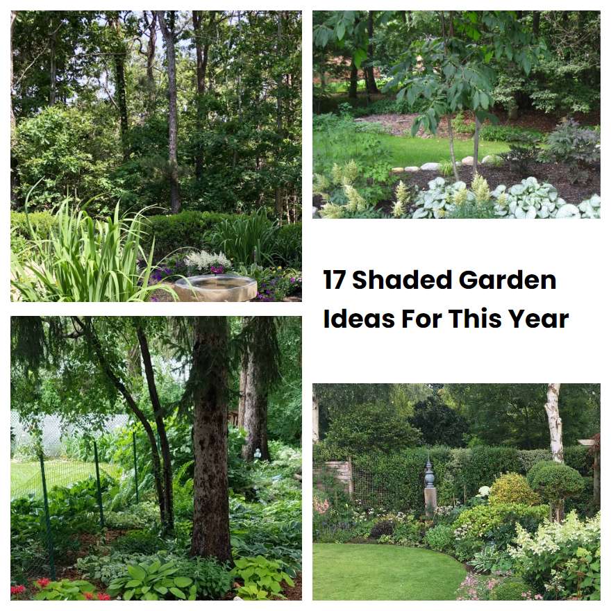 17 Shaded Garden Ideas For This Year | SharonSable