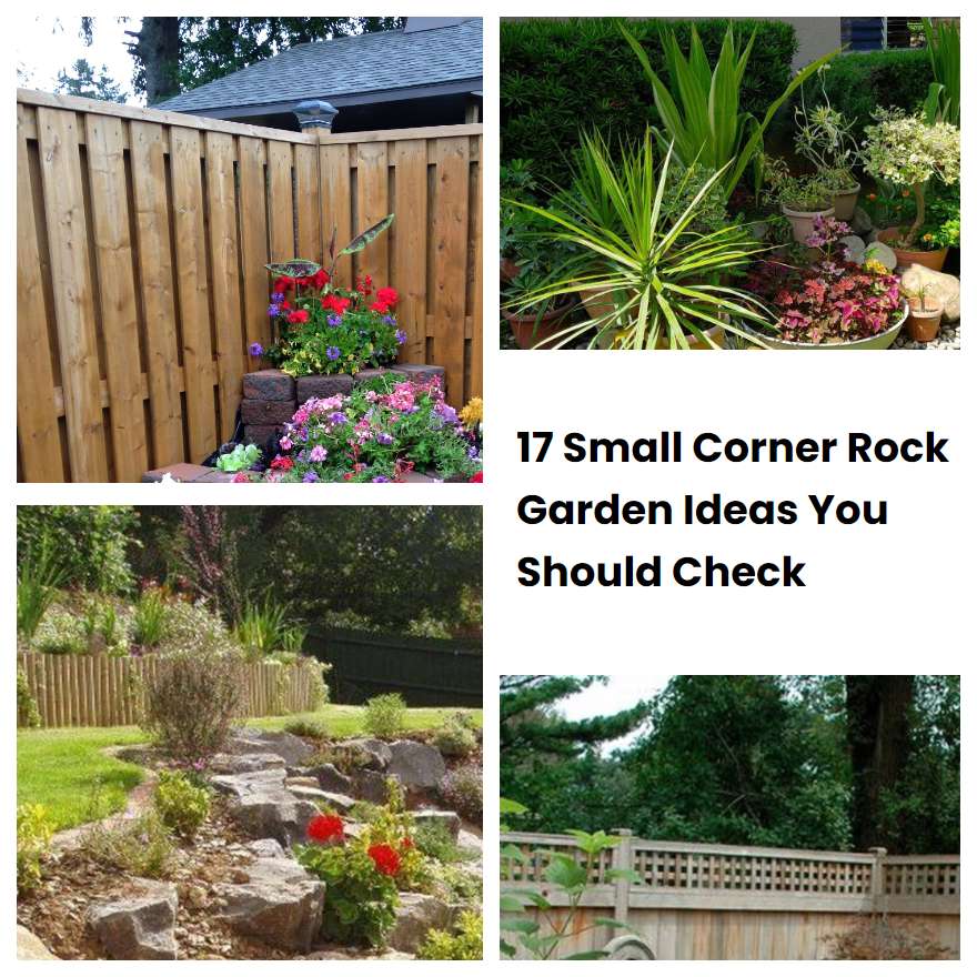 17 Small Corner Rock Garden Ideas You Should Check | SharonSable