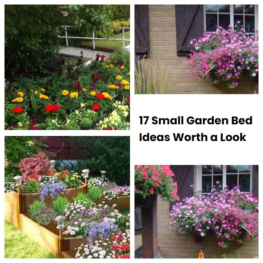17 Small Garden Bed Ideas Worth a Look | SharonSable