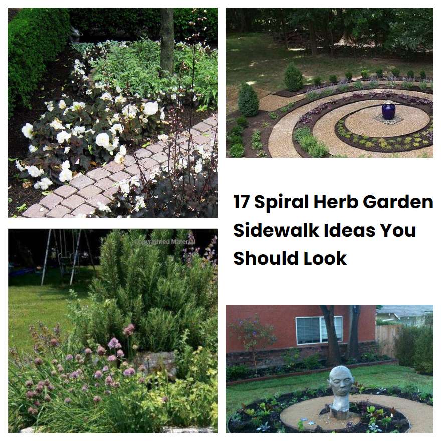 17 Spiral Herb Garden Sidewalk Ideas You Should Look