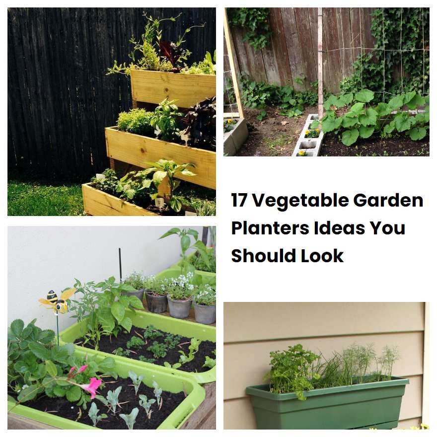 17 Vegetable Garden Planters Ideas You Should Look | SharonSable