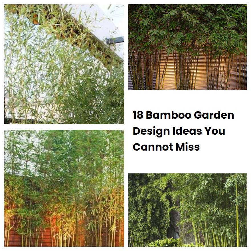 18 Bamboo Garden Design Ideas You Cannot Miss | SharonSable