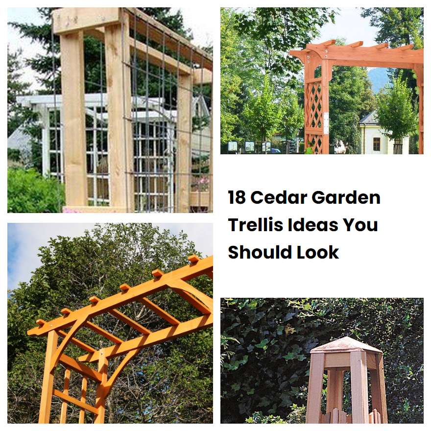 18 Cedar Garden Trellis Ideas You Should Look Sharonsable