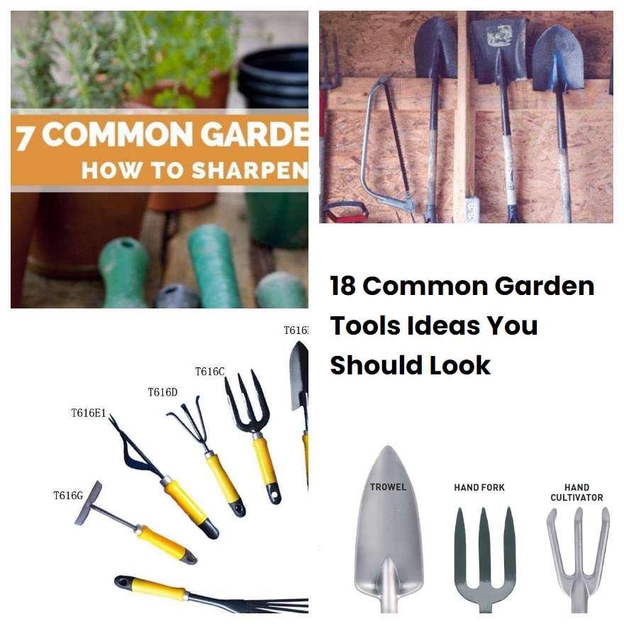 18 Common Garden Tools Ideas You Should Look | SharonSable