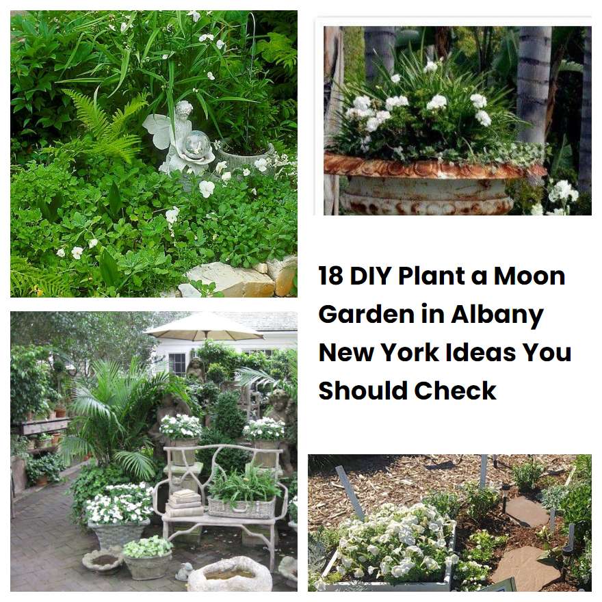 18 DIY Plant a Moon Garden in Albany New York Ideas You Should Check