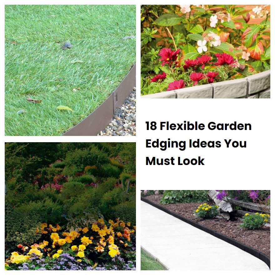 18 Flexible Garden Edging Ideas You Must Look | SharonSable