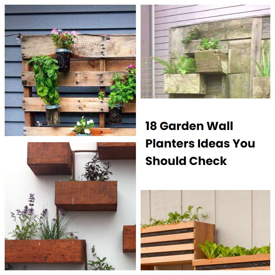 18 Garden Wall Planters Ideas You Should Check | SharonSable