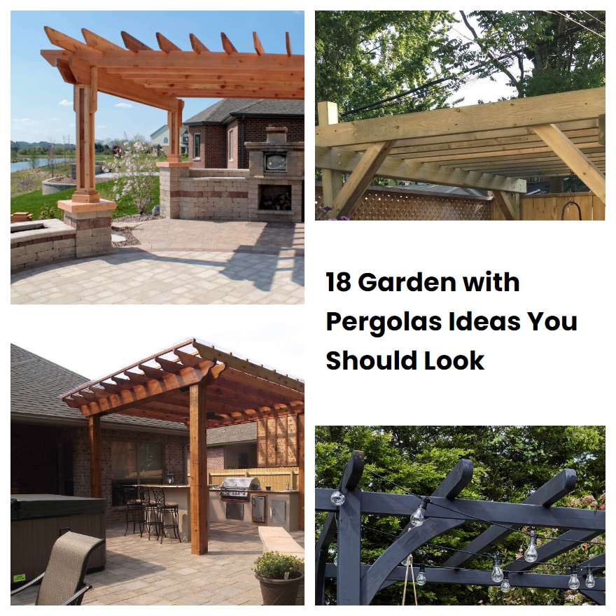 18 Garden with Pergolas Ideas You Should Look | SharonSable