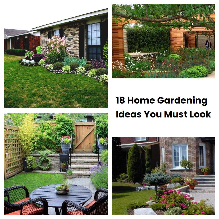 18 Home Gardening Ideas You Must Look | SharonSable