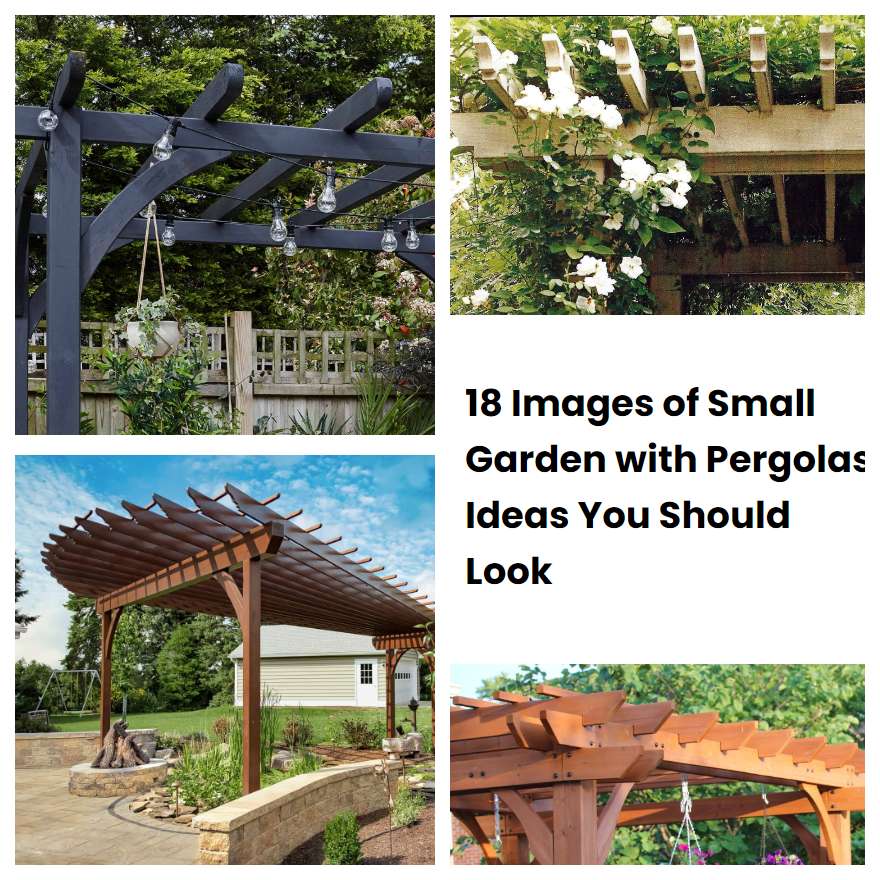 18 Images of Small Garden with Pergolas Ideas You Should Look | SharonSable