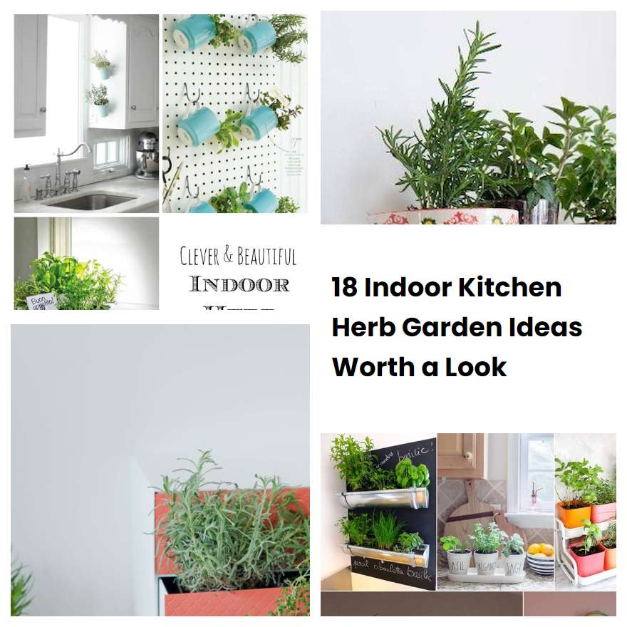 18 Indoor Kitchen Herb Garden Ideas Worth a Look | SharonSable