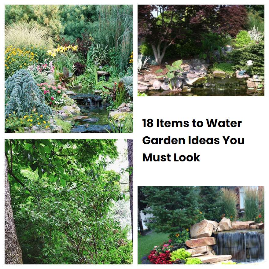 18 Items To Water Garden Ideas You Must Look 