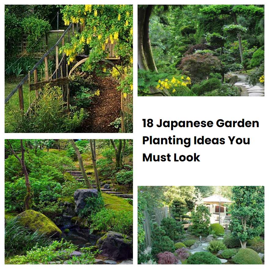 18 Japanese Garden Planting Ideas You Must Look | SharonSable