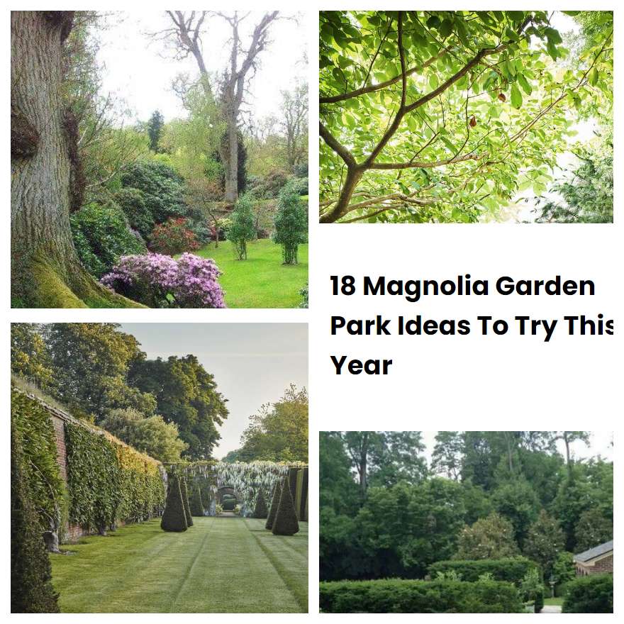 18 Magnolia Garden Park Ideas To Try This Year