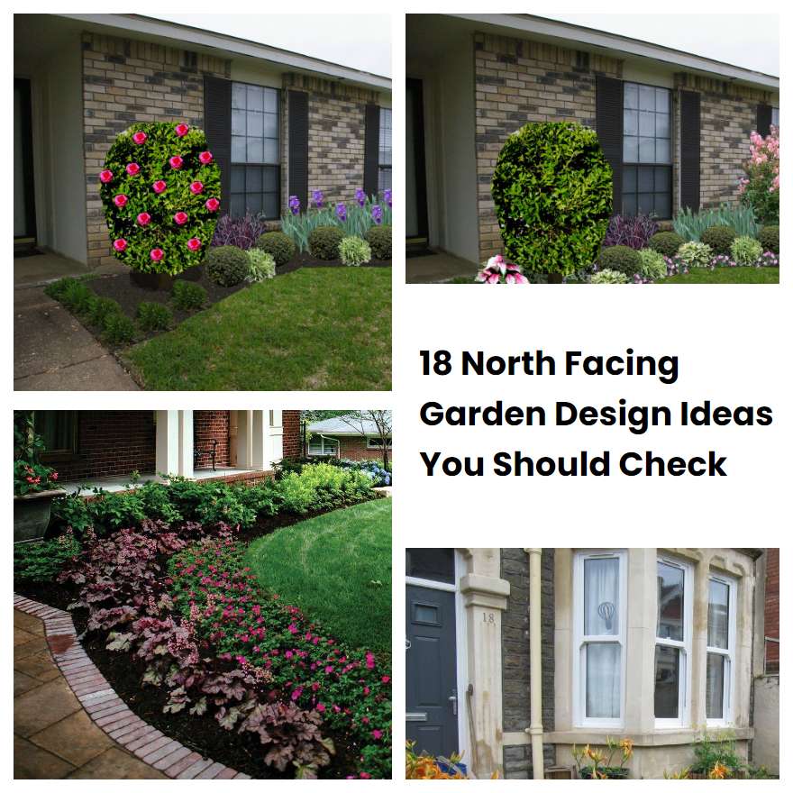 18 North Facing Garden Design Ideas You Should Check