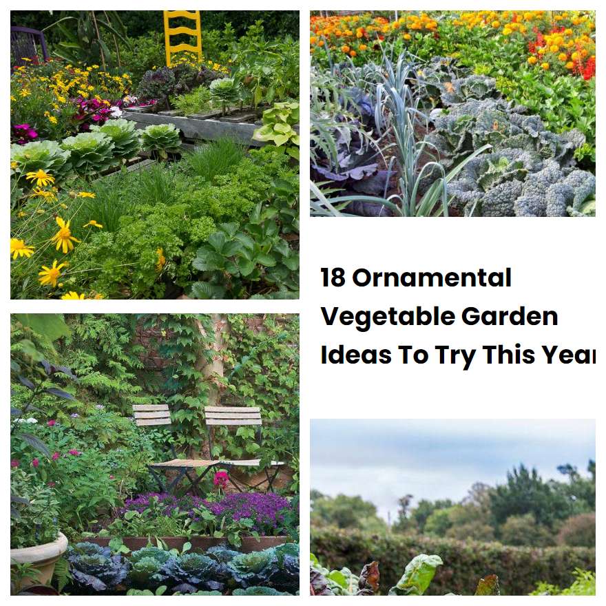 18 Ornamental Vegetable Garden Ideas To Try This Year | SharonSable