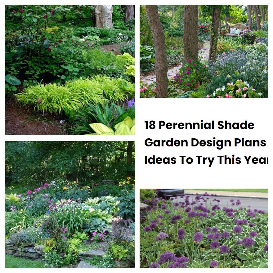 18 Perennial Shade Garden Design Plans Ideas To Try This Year | SharonSable