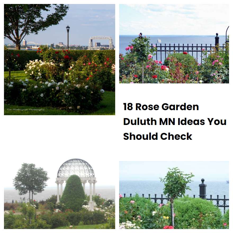 18 Rose Garden Duluth MN Ideas You Should Check | SharonSable