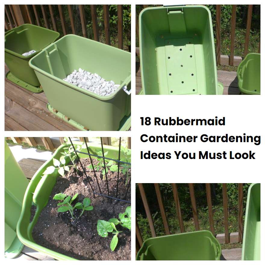 18 Rubbermaid Container Gardening Ideas You Must Look Sharonsable 