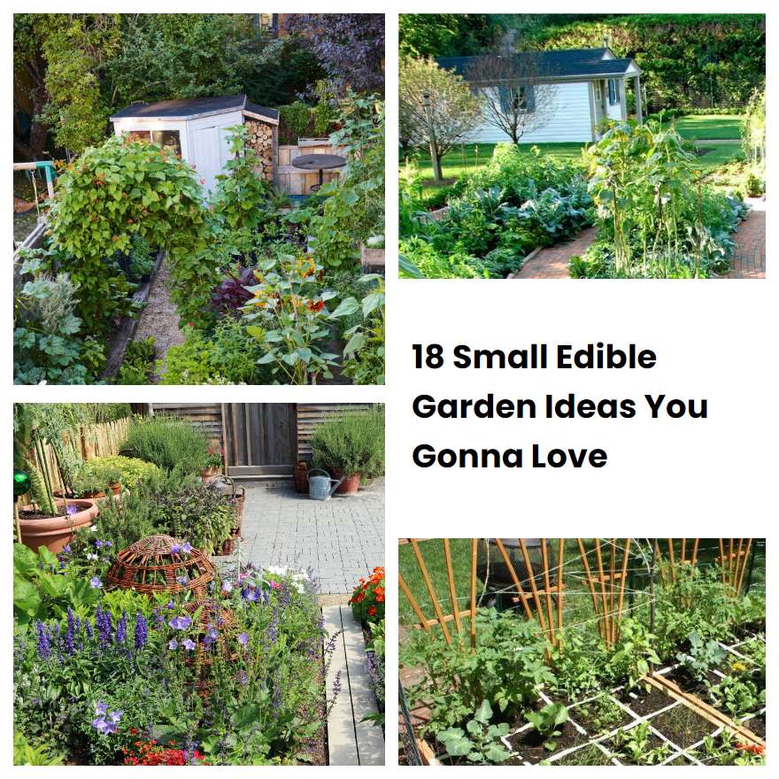 18 Small Edible Garden Ideas You Gonna Love Sharonsable