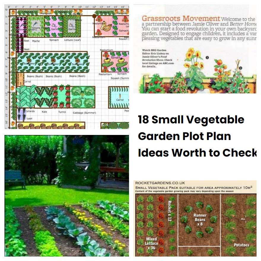 18 Small Vegetable Garden Plot Plan Ideas Worth to Check | SharonSable