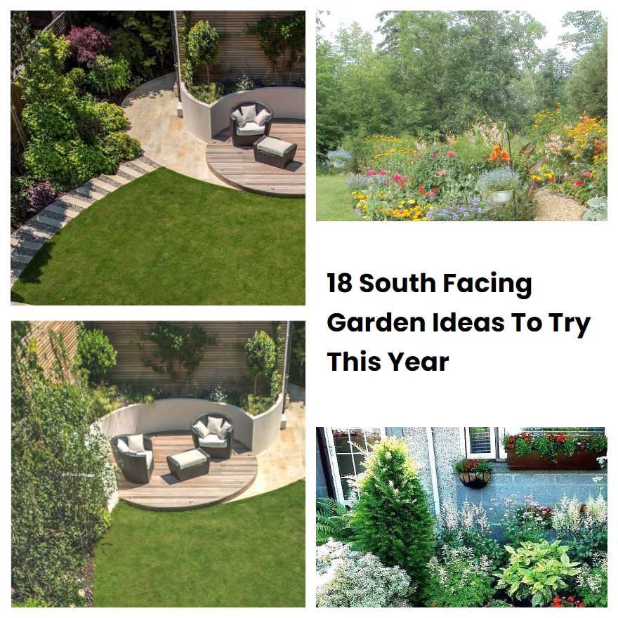 18 South Facing Garden Ideas To Try This Year Sharonsable 7435