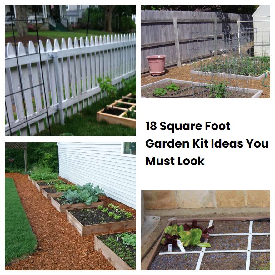 18 Square Foot Garden Kit Ideas You Must Look | SharonSable